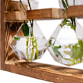 Miniatyrbillede 2 af 5: Propagation Station 3 Murværk Vaser med Træstativ, Glasvase til Hydroponics, Hjemmehave Offic