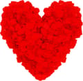 3000 pakke kunstige røde roseblader - Roseblader - for Valentin