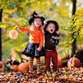 Pikkukuva 2 / 5: 1 kpl musta noitapata, naamiaisasu, Halloween-lavaste