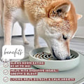 Miniatyrbillede 2 af 4: DLM Skål Silikon Langsom Foder til Hunde & Hvalpe Langsom Spisning Moderne Læk Mat Design Reducerer Slugning Opvaskemaskine Passer til Alle Racer Grøn (B)