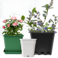 Miniatyrbild 5 av 5: Planteringskruka svart 2-pack 14 #, fyrkantig plastburk svart
