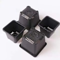 Miniatyrbild 3 av 5: Planteringskruka svart 2-pack 10 #, fyrkantig plastburk svart