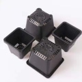 Miniatyrbillede 3 af 5: Plantekasse sort 2-pak 14 #, firkantet plastikdåse sort