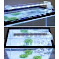 Miniatyrbillede 1 af 5: (12cm) Nedsænkelig LED-akvarielampe til planter hvidt og blåt lys 3W