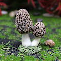 Miniatyrbillede 4 af 5: 3 stk. Svampefigurer Eventyrhave Miniaturer Dukkehus Mikro Landskabsdekoration ( )