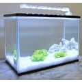Miniatyrbillede 5 af 5: (12cm) Nedsænkelig LED-akvarielampe til planter hvidt og blåt lys 3W