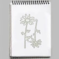 Miniatyrbilde 5 av 5: Metallstans for blomster, mal for scrapbooking, DIY-album, stempelpapir, kort for håndlagde gratulasjonskort, preging, dekorative kunstprosjekter