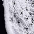 Miniatyrbillede 2 af 5: Halloween Stræk-Spindelvæv Indendørs & Udendørs Spooky Spindelvæv