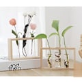 Miniatyrbild 4 av 5: Hydroponisk Glas Provrör Växtvaser Blomkruka Terrarium Behållare Dekorera (3.5*2.6*1.6 tum)