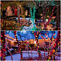 Miniatyrbillede 5 af 5: 10M 100 LED Multifarvede Julelys Indendørs Batteri