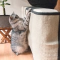 Miniatyrbild 3 av 5: Kattklösbräda soffskydd - Naturlig sisal kattklösbräda möbler