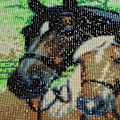 Miniatyrbild 2 av 5: 5D Diamantmålningssats 30x40cm DIY Färgglad Häst Diamantkonst