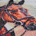 Miniatyrbild 2 av 5: 5D Diamantmålningssats 30x40cm DIY Färgglad Häst Diamantkonst