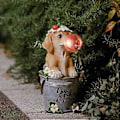 Pikkukuva 2 / 5: Puutarhapatsas - Penni jolla on purukumia ja aurinkovoimalla toimivat LED-valot sisä- ja ulkokäyttöön patiolle ja nurmikon koristeluun, 29,8 * 15,6 cm