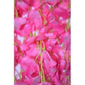 Miniatyrbillede 5 af 5: Kunstige Blomster, Kunstig Wisteria, Boligdekoration, Hver Gren Er 110 cm Lang, Lavet Af Silke (hvid) A Yu( Pink)