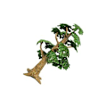 Miniatyrbillede 3 af 3: 1 stk. Landskabsmodeltræ