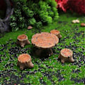 Miniatyrbillede 5 af 5: Landskabs Ornament Håndværk Fremragende Udførelse Udsøgt Harpiks Håndværk Have Miniature Bord Stol til Hjem Skrivebord Qinhai(1 )