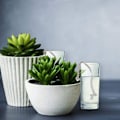 Miniatyrbillede 5 af 5: Automatisk vandingstov med automatisk vandingssystem blomsterpotte*