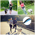 Miniatyrbillede 3 af 5: Hundpromenader Fanny Pack med handsfree koppel Justerbar løbe midjepakke Sort