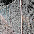 Miniatyrbillede 4 af 5: 5X10M Stærkt Fuglenet Havehegn og Afgrøder 5x10m