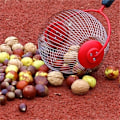 Miniatyrbilde 4 av 4: Hagevals for nøttesamling, Fruktplukker