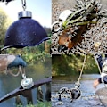 Miniatyrbillede 2 af 2: Aespa magnetisk fiskesæt, 300 kg stærk trækkraft fiskemagnet, neodym rund magnetfiskeri med dobbeltsidede ringe, til hentning i R