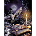 Miniatyrbild 1 av 5: (30x40cm) Diamantmålning Full Rhinestones Harry Potter Cast