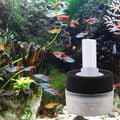 Miniatyrbillede 4 af 4: Akvarium Mini Svampefilter Vand