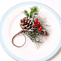 Miniatyrbild 3 av 5: Servettringar Set om 6 Tallbarrsbär Jul Thanksgiving Högtid Rustik Bondgård Servett Ri.pa