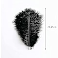 Miniatyrbillede 4 af 5: 24 stk. naturlige sorte strudsefjer, fjerbuske 8-10 tommer (20-25 cm) bulk til DIY Halloween-dekorationer, bryllupsfest midterstykker, Gatsby-dekorationer—PA