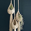 Miniatyrbild 1 av 5: 3X Boho Makramé Luftväxt Hängare Tillandsia Hängande Korg Rephållare Blomma Heminredning (13CM).pa