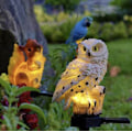 Miniatyrbillede 3 af 5: Ugle Fugleskræmsel Solcellelampe til Have—pa