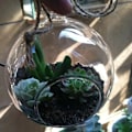Miniatyrbild 5 av 5: 6 st 10 cm Hängande Glaskula Klar Vas Blomkruka Planteringskärl Landskapsterrarium Behållare Bröllopsfest, Bröllopsdekoration