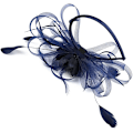 Miniatyrbillede 2 af 5: Elegant damehat Fascinator Brudefjer Hårklemme 20