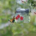 Miniatyrbillede 5 af 5: 1 pakke Mason Jar fuglefoder med blomsterfoderporte til udendørs hængende gårdhave havedekoration, Ja.pa