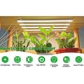 Grow Light Växtlampa för Inomhusväxter, Fullspektrum med Timer Vit