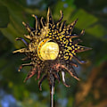 Miniatyrbild 1 av 5: Solarlampor för trädgård utomhus, sprucken glaskula staketlampor