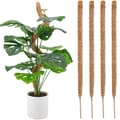 4-pak Bøjbar Mos Pind til Monstera & Stueplanter