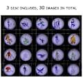 Miniatyrbillede 5 af 5: Børneprojektorurlegetøj til Ben 10 Alien Force og mystiske projektionsactionfigurer modellegetøj til børn