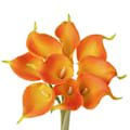 Miniatyrbillede 2 af 5: Kunstig Calla Lily 10 stk Orange Blomster Kunstige Lillier Blomsterbuket Falske Calla Lillier Plante Dcor Til Blomsterarrangement Bryllup, Braidal, H 3 10pcs