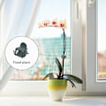 Miniatyrbillede 3 af 3: 20 stk. planteclips, clips til klatreplanter, orkidéclips, støtteclips, haveclips i plast til fastgørelse af planter, til planter, blomster-orkidéer