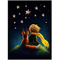 Pikkukuva 1 / 5: Timanttimaalaussetti, Cartoon Prince Diamond Art Kit, Timanttimaalaus täydellinen kodin seinäkoristeluun 12 x 16 tuumaa