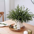 Miniatyrbilde 5 av 8: Juletrærgreiner fra Norfolk-furu, 45 cm, Real Touch Kunstige Furu Greiner, Kunstig Grønt, Furu Plukker til Vase, DIY Krans, Hjemmedekorasjon 32Pcs