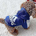 Miniatyrbild 3 av 3: Hundkläder Adidog 2024 Nya Vinter Kläder för Små och Mellanstora Hundar Hoodies Valpkläder Tröja Navy blue 0.7*1.4kg