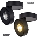 Miniatyrbillede 5 af 5: 12W LED loftslampe, justerbar lysboks