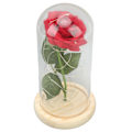 Miniatyrbild 2 av 8: Ros i Glaskupa Lyckobringande Vacker Symbolism Romantisk Förtryllande Ros Romantiska Presenter med LED-Ljus för Alla Hjärtans Dag Grönt Blad Safflor