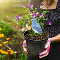 Miniatyrbillede 6 af 8: Jordfugtighedsmåler Vanding Alarm Plante Vand Tester Hygrometer Sensor Havearbejde Værktøjssæt til Planter Vand Påmindelse Advarsel Alarm