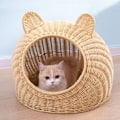 Miniatyrbillede 5 af 8: Katteseng Sød Katteøre Imiteret Rattan Håndvævet Åndbar Alle Sæsoner Vaskbar Halvlukket Kattehuse til Indendørs 38x38cm / 15.0x15.0in Beige