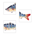 Miniatyrbillede 4 af 8: 3 stk 10 cm Fiskegrej Multileddet Bademad Naturligt Hårdt Agnsfisk til Basørret Aborre Ferskvands Saltvand