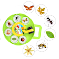 Miniatyrbild 4 av 8: Utomhus Science Insect Capture Observation Magnifier Box Container Viewer
